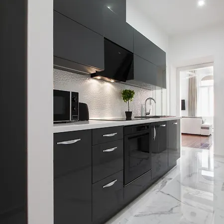 Sas Imperial Flat Basilika View Free Parking Upon Reservation Budapest